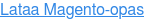 Lataa Magento-opas
