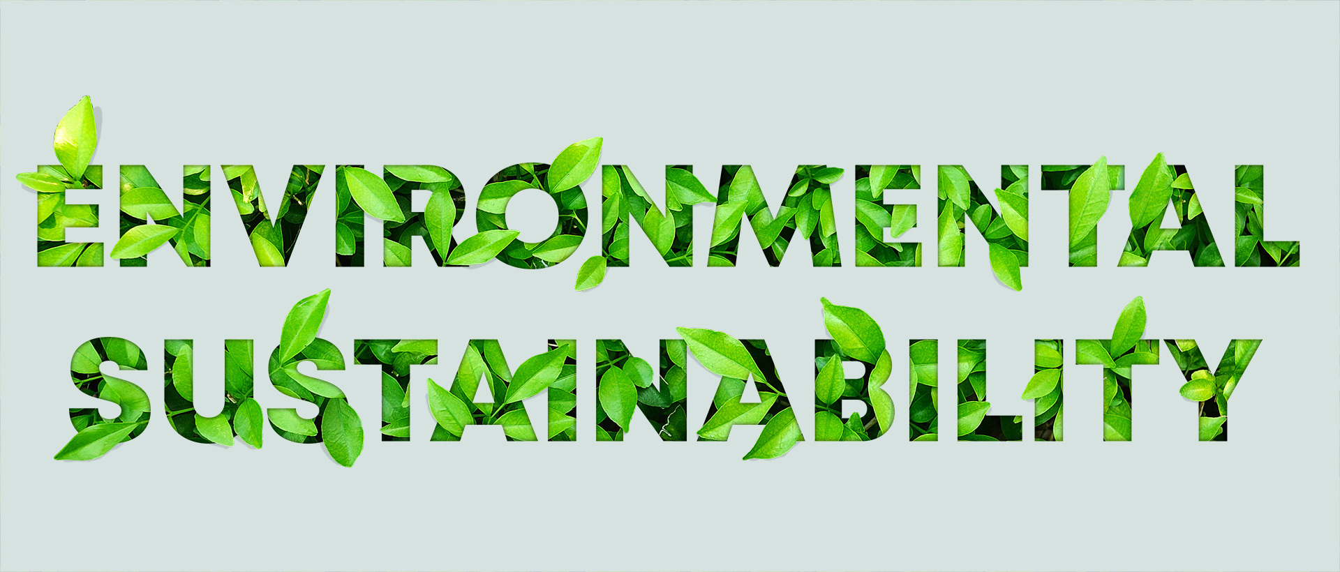 environmental-sustainability